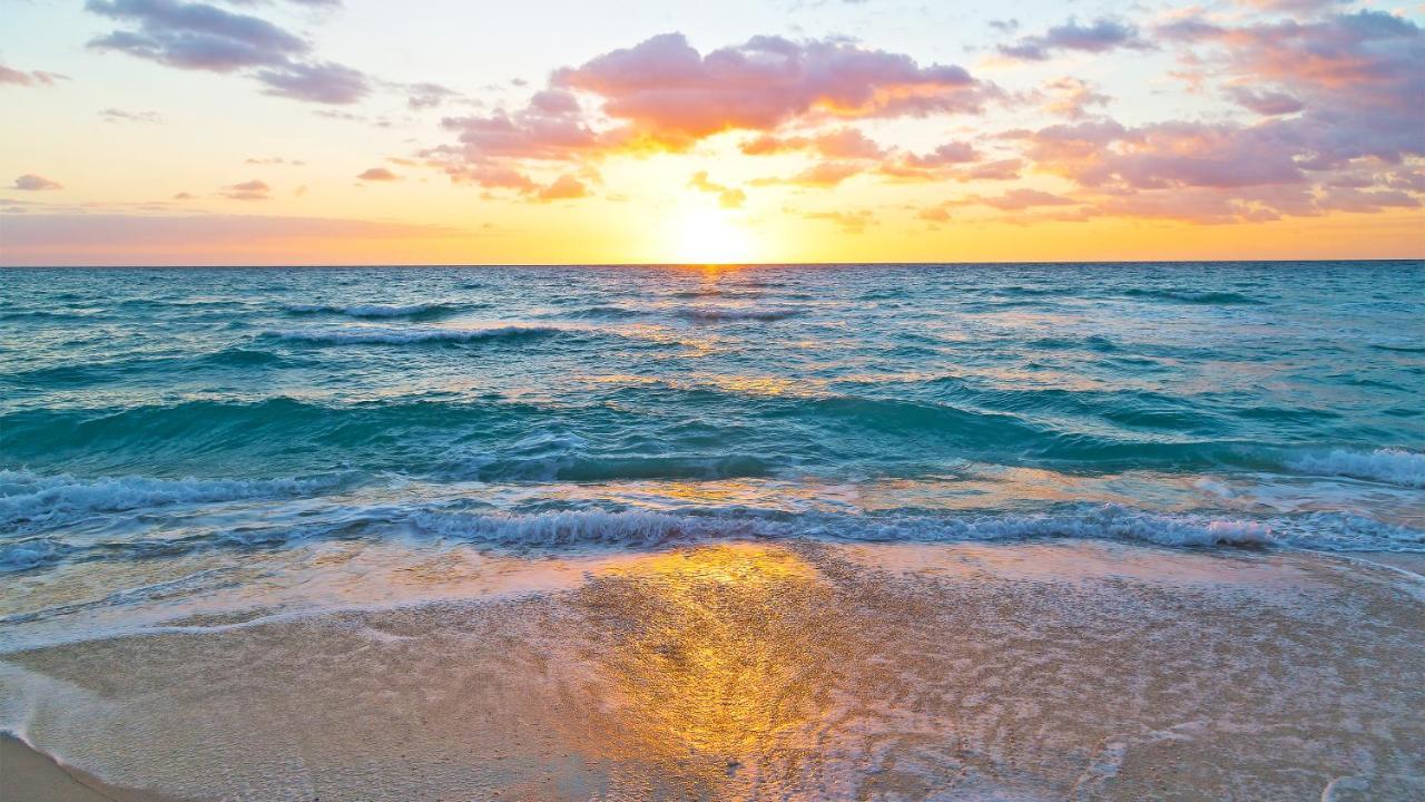 Budget Friendly Condo Perfect For A Romantic Getaway Within Walking Distance To The Beach! กัลฟ์ชอร์ส ภายนอก รูปภาพ